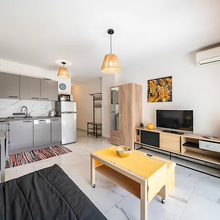 Dans Résidence Neuve - Terrasse Et Jardin * Cannes